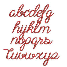 Load image into Gallery viewer, FALSE