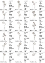 Load image into Gallery viewer, FALSE