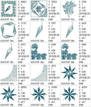 Load image into Gallery viewer, Spiral Sea Shell Combo