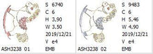 Load image into Gallery viewer, FALSE