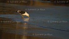 Load image into Gallery viewer, Eersterivier at the Beach 02
