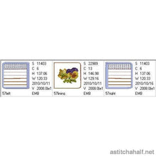 Load image into Gallery viewer, FALSE