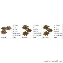Load image into Gallery viewer, Poinsettia Splendor Combo