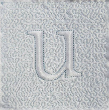 Load image into Gallery viewer, Trapunto Educational Quilt 02