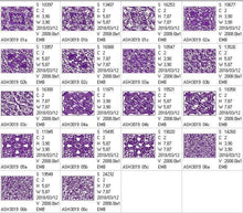 Load image into Gallery viewer, Tabetha Quilt Blocks and Tote Bag
