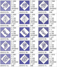 Load image into Gallery viewer, Trapunto Ocean Motion Beach Tote and Quilt Blocks
