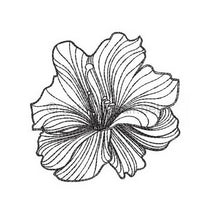 Load image into Gallery viewer, Wrinkle and Crinkle Petals Seamless Quilt Combo
