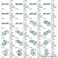 Load image into Gallery viewer, Running Bicycles Combo
